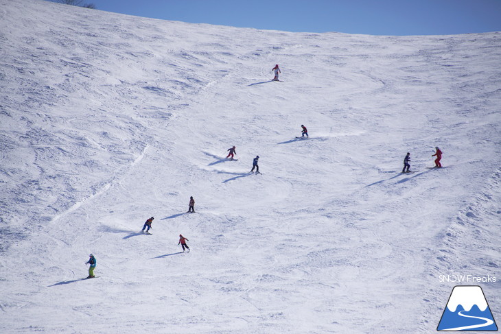 小樽天狗山ロープウェイスキー場 積雪たっぷり！絶景春スキー☆